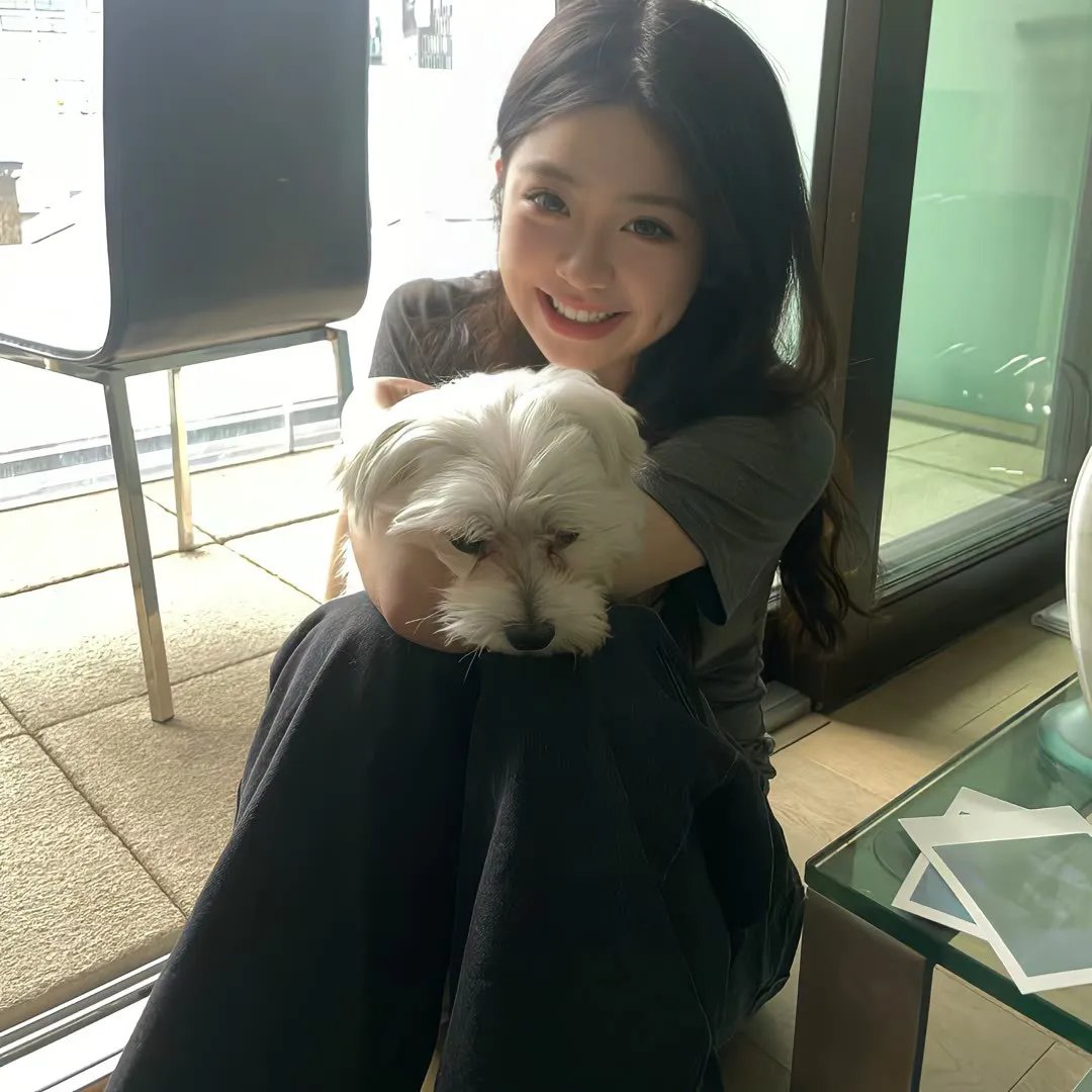 扮猪食老虎